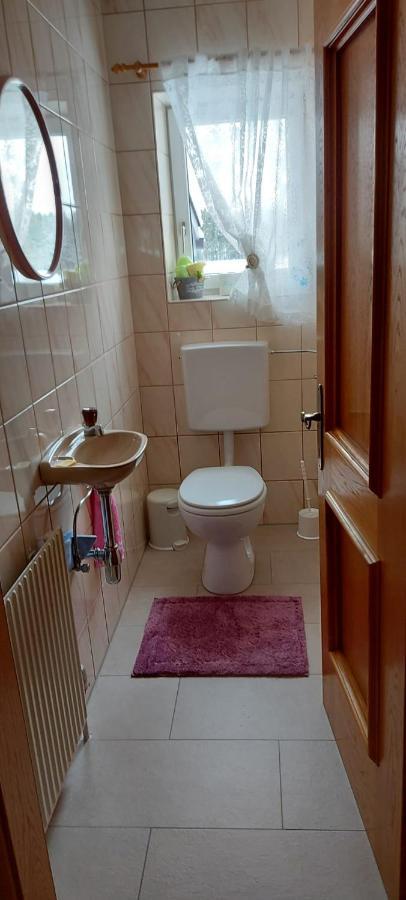 Ferienwohnung Seeberg Mit Almfeeling Faistenau Extérieur photo