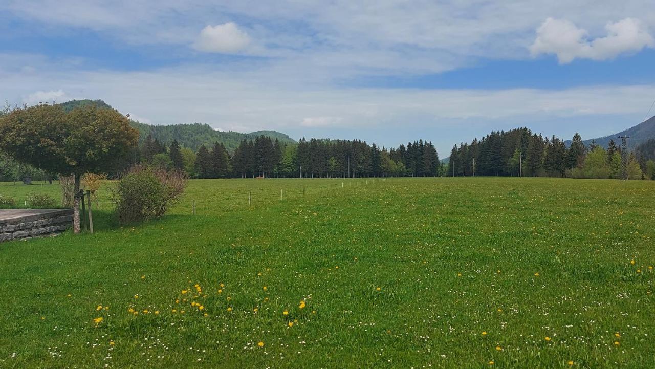 Ferienwohnung Seeberg Mit Almfeeling Faistenau Extérieur photo