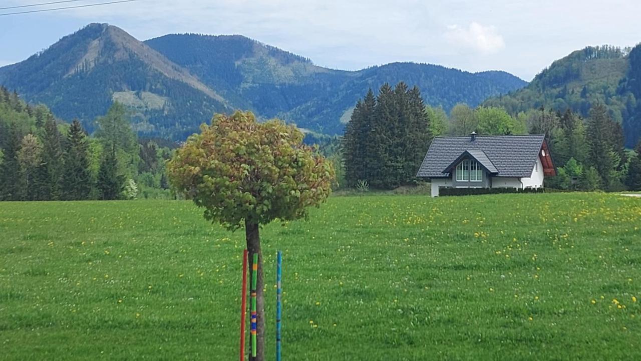 Ferienwohnung Seeberg Mit Almfeeling Faistenau Extérieur photo
